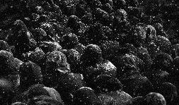 一九四二在线观看,抗战岁月的生死较量