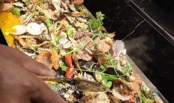 连云港海鲜爆料案件最新,揭开海鲜市场潜规则真相